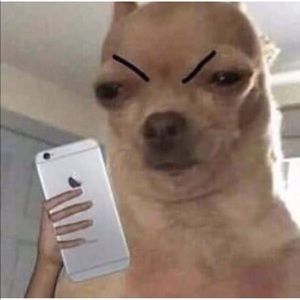 Meet your Posher, Mohammed